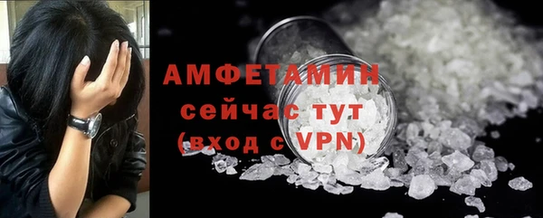 твердый Арсеньев