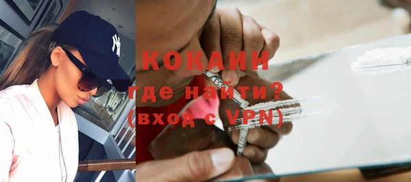 твердый Арсеньев