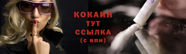 твердый Арсеньев