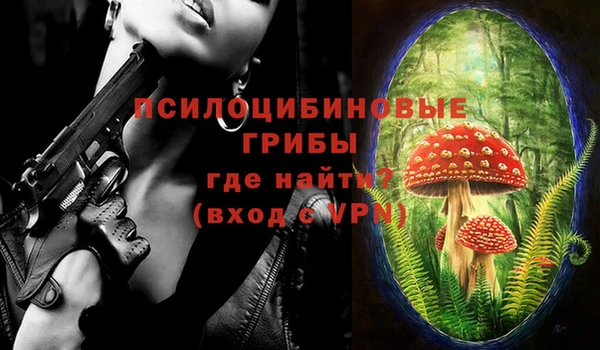 твердый Арсеньев